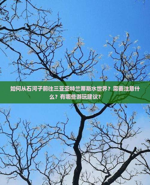 石河子去三亚亚特兰蒂斯水世界攻略