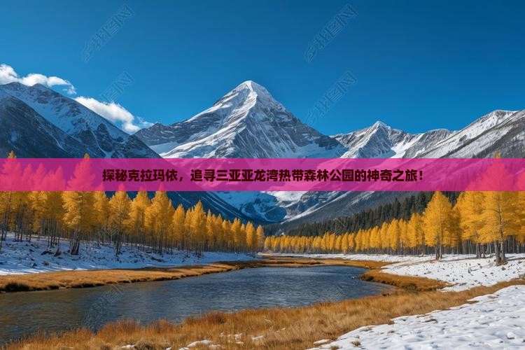 克拉玛依前往三亚亚龙湾热带森林公园攻略