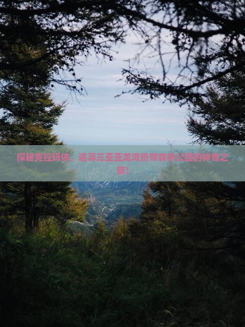 克拉玛依前往三亚亚龙湾热带森林公园攻略