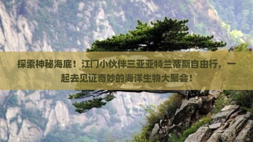 江门去三亚亚特兰蒂斯水族馆自由团