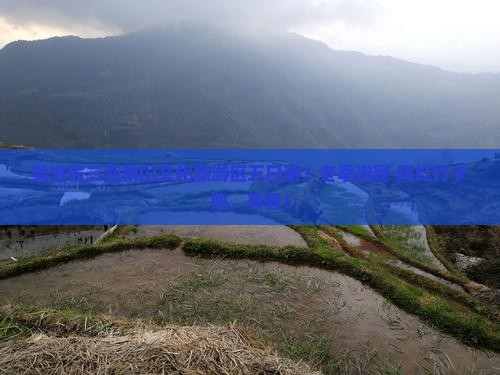 果洛去三亚南山文化旅游区五日游