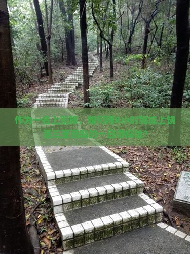 上饶去三亚西岛一日游