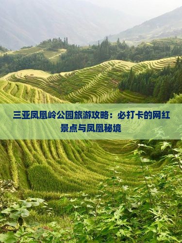 铜陵去三亚凤凰岭公园旅游网红地点