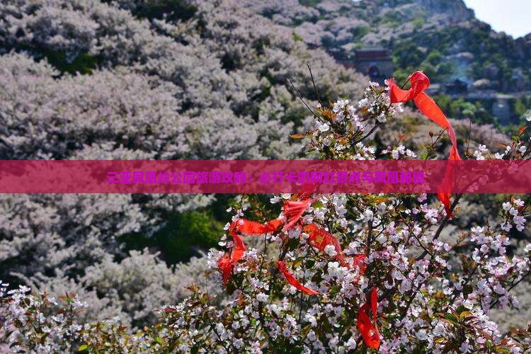 铜陵去三亚凤凰岭公园旅游网红地点