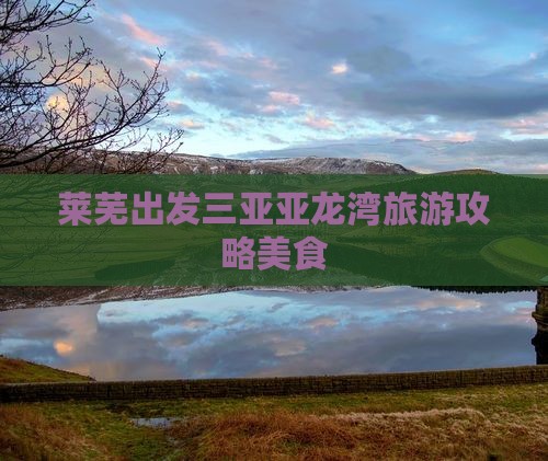 莱芜出发三亚亚龙湾旅游小吃