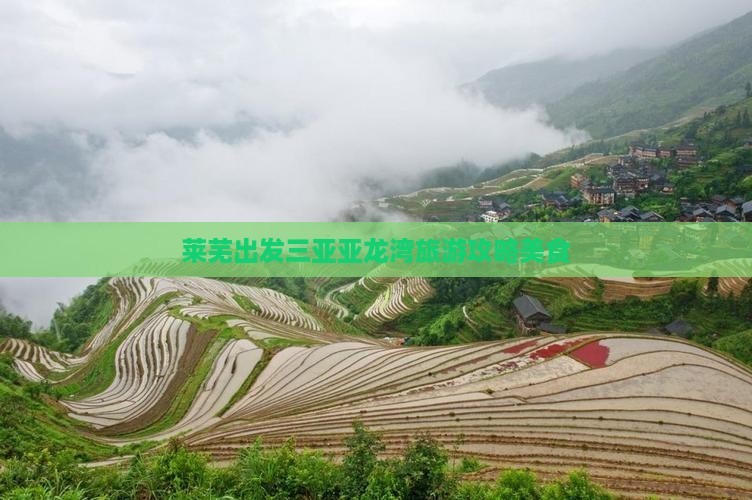 莱芜出发三亚亚龙湾旅游小吃