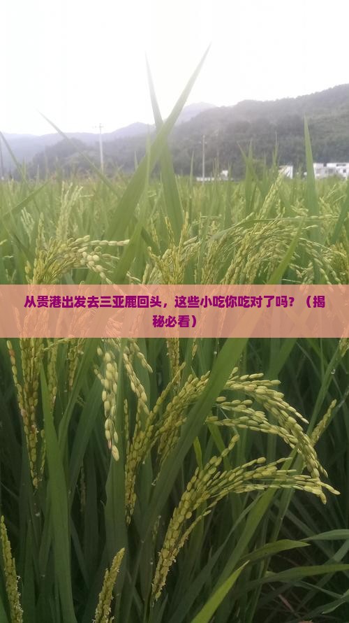 贵港前往三亚鹿回头旅游小吃