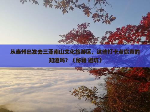 泰州前往三亚南山文化旅游区旅游打卡点