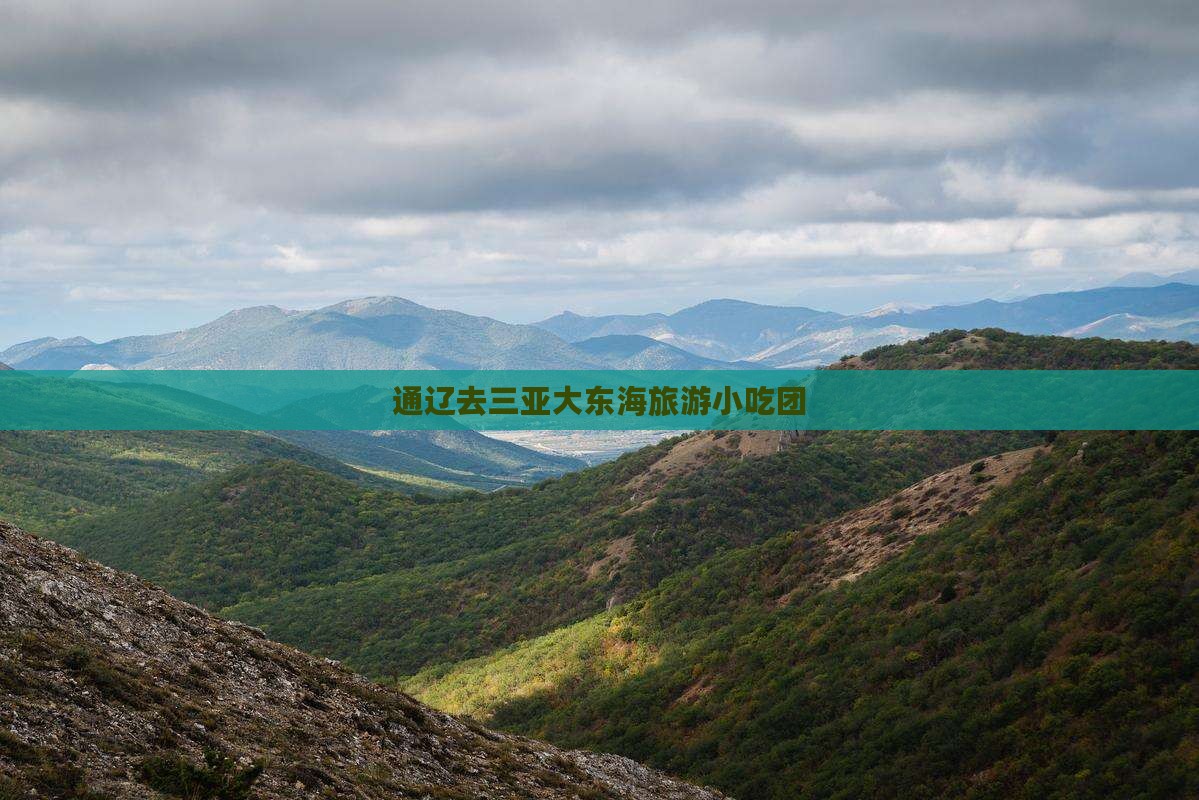 通辽去三亚大东海旅游小吃