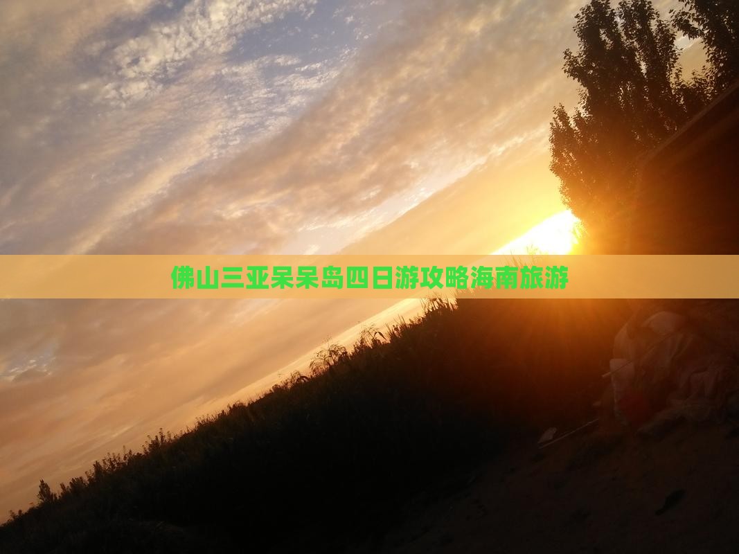 佛山前往三亚呆呆岛四日游