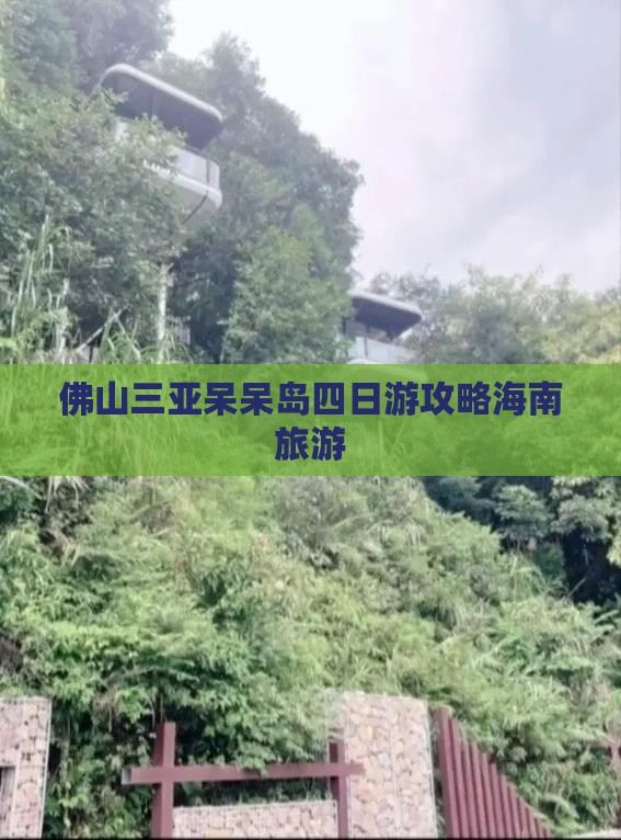 佛山前往三亚呆呆岛四日游