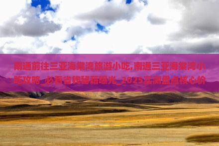 南通前往三亚海棠湾旅游小吃