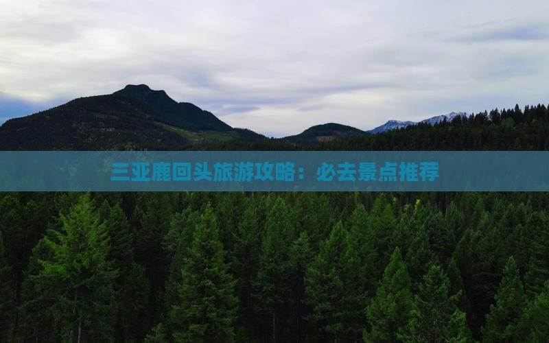新余前往三亚鹿回头旅游网红地点 新余前往三亚鹿回头旅游网红地点