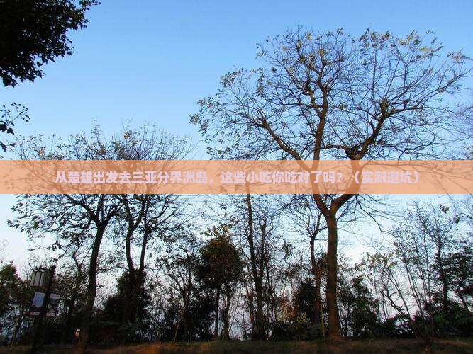 楚雄前往三亚分界洲岛旅游小吃