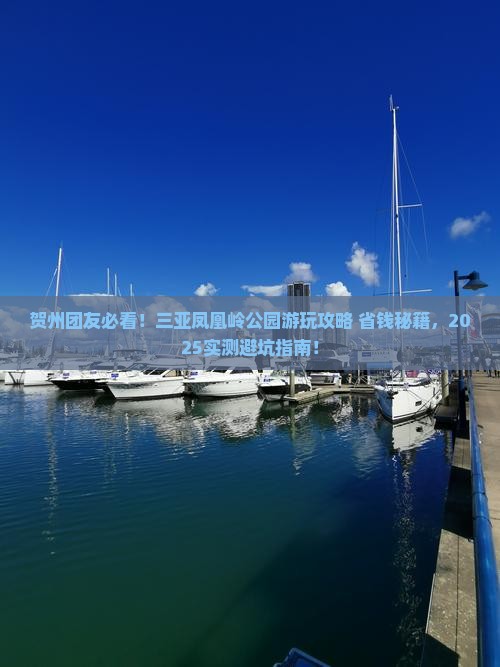 贺州去三亚凤凰岭公园大型旅游团