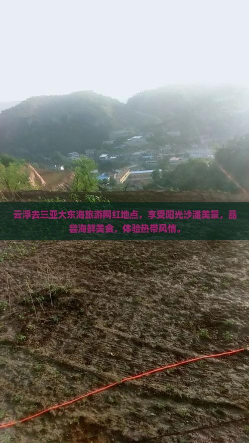 云浮去三亚大东海旅游网红地点