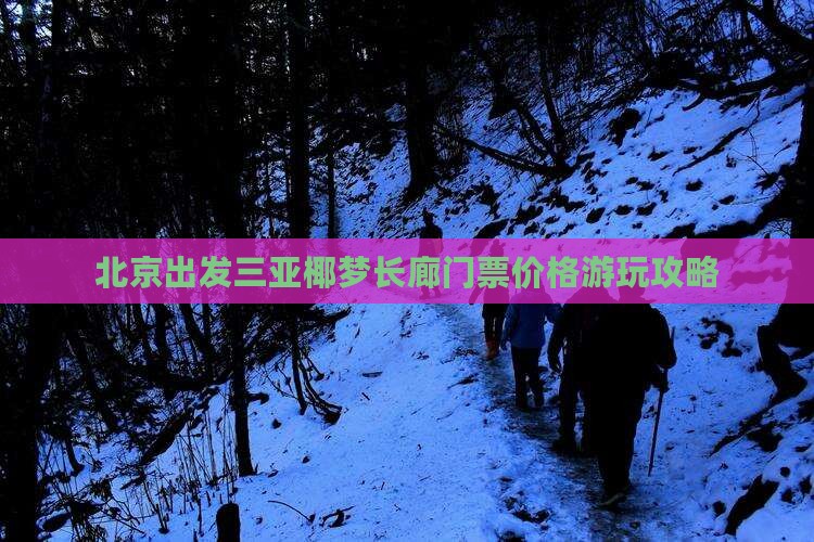 北京出发三亚椰梦长廊门票