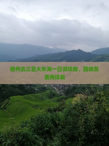梧州去三亚大东海一日游
