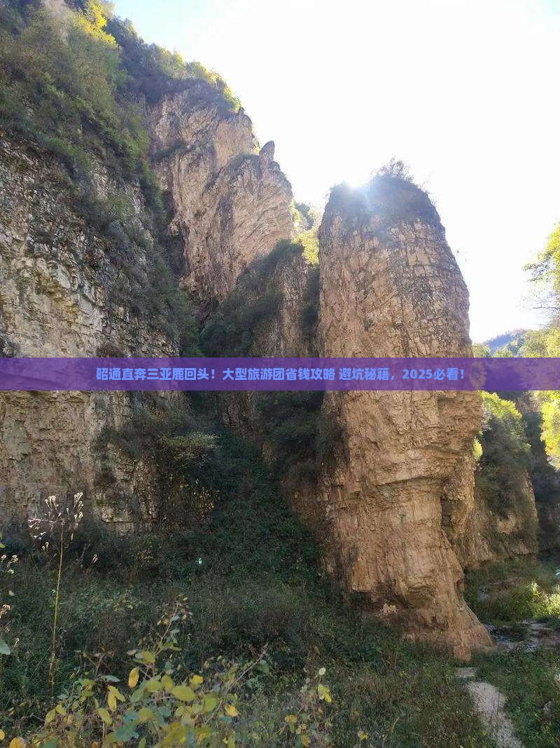 昭通前往三亚鹿回头大型旅游团