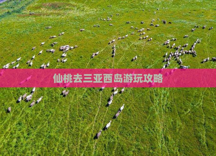 仙桃去三亚西岛攻略