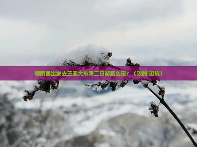 鄢陵县前往三亚大东海二日游