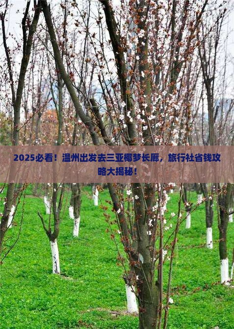 温州去三亚椰梦长廊旅行社