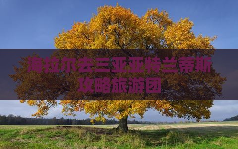 海拉尔去三亚亚特兰蒂斯水世界大型旅游团