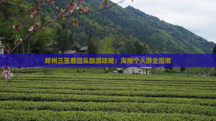 郑州出发三亚鹿回头个人游