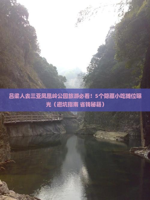 吕梁去三亚凤凰岭公园旅游小吃
