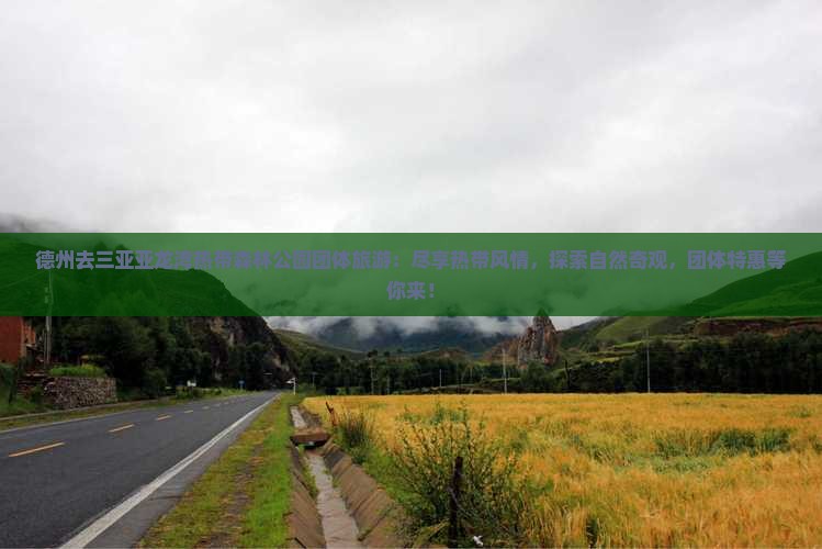 德州去三亚亚龙湾热带森林公园团体旅游