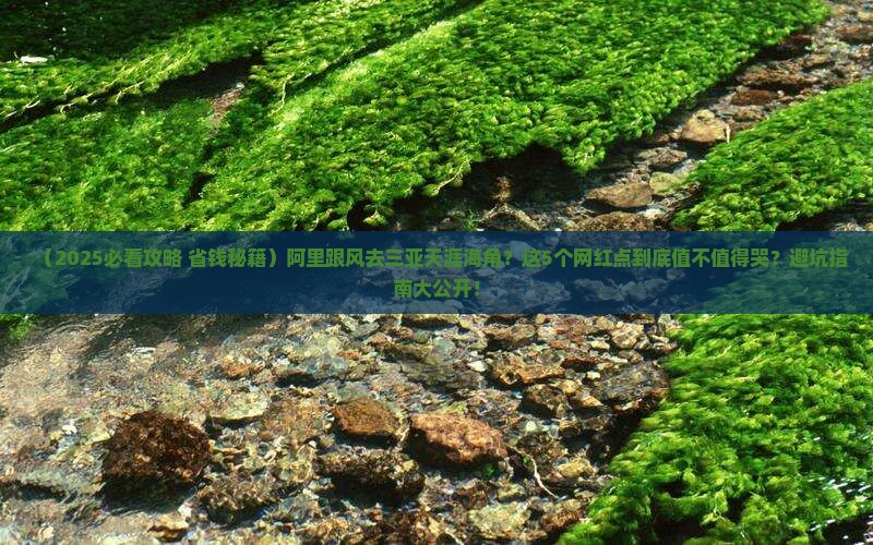 阿里前往三亚天涯海角旅游网红地点