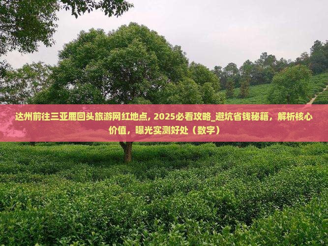 达州前往三亚鹿回头旅游网红地点