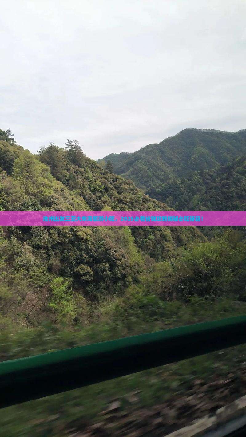 池州出发三亚大东海旅游小吃