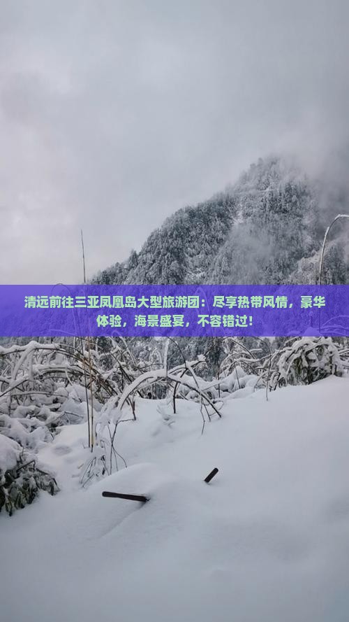 清远前往三亚凤凰岛大型旅游团