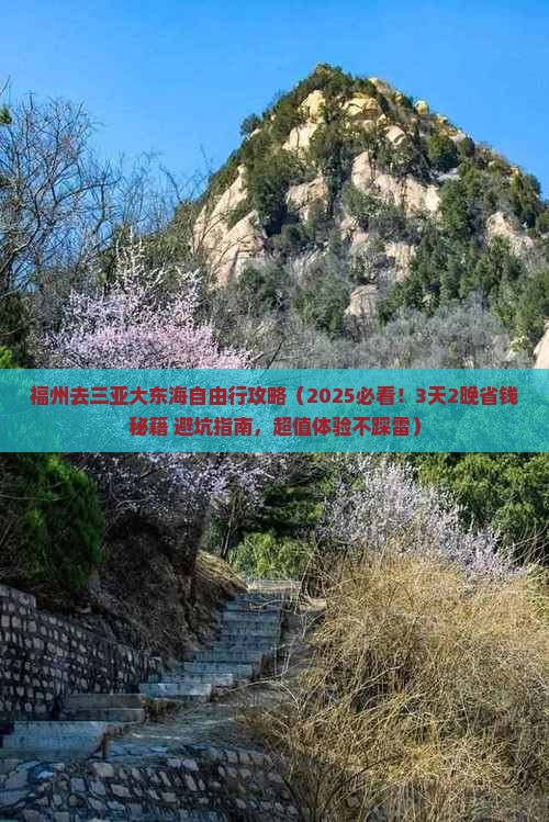 福州前往三亚大东海旅行社