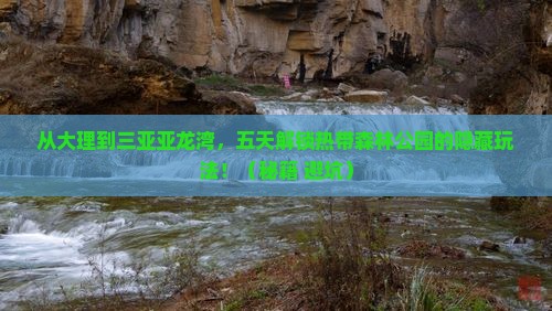 大理出发三亚亚龙湾热带森林公园五日游