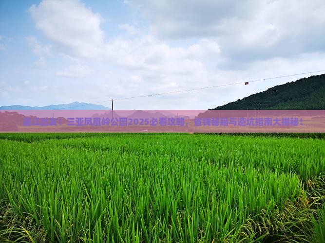 湛江去三亚凤凰岭公园必玩地