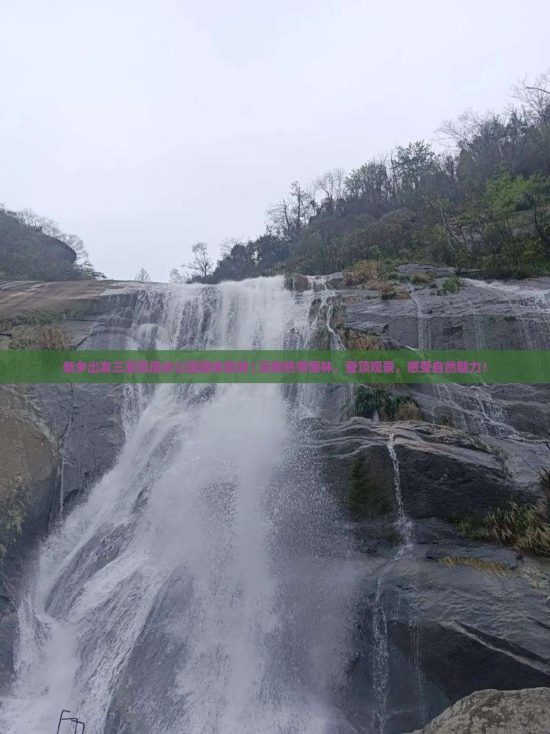 新乡出发三亚凤凰岭公园团体旅游