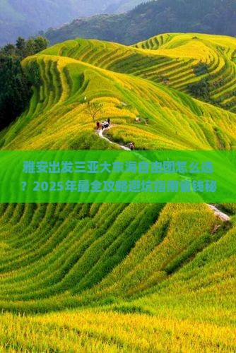 雅安出发三亚大东海自由团 雅安出发三亚大东海自由团