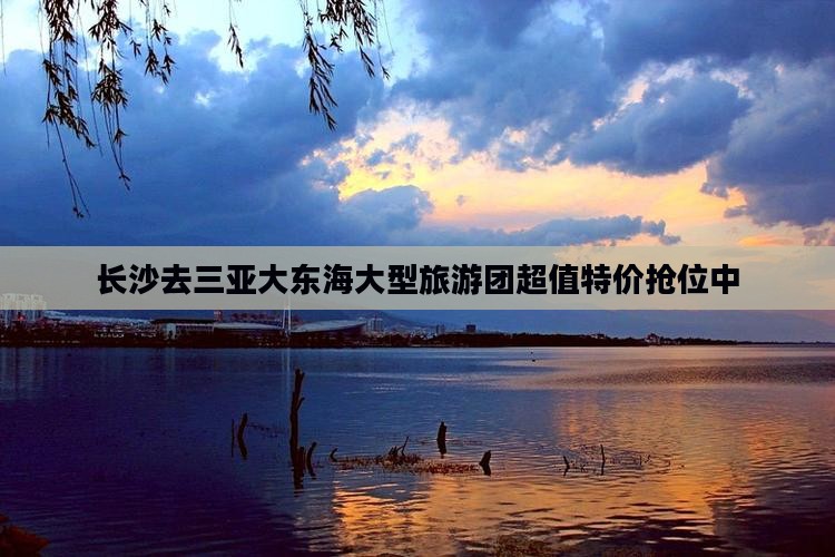长沙去三亚大东海大型旅游团