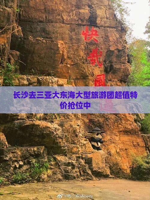 长沙去三亚大东海大型旅游团