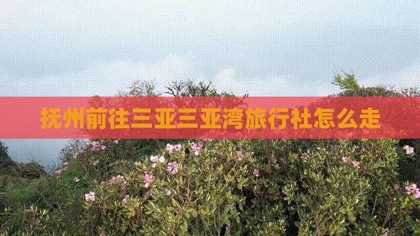 抚州前往三亚三亚湾旅行社