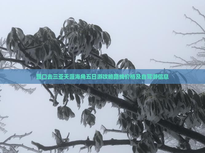 营口去三亚天涯海角五日游