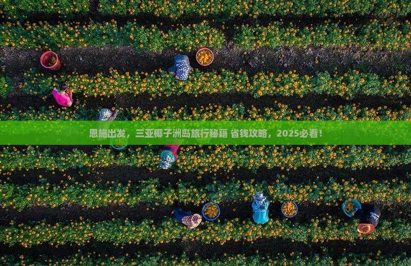 恩施前往三亚椰子洲岛旅行社