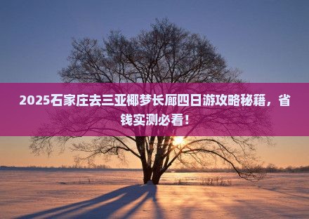 石家庄去三亚椰梦长廊四日游