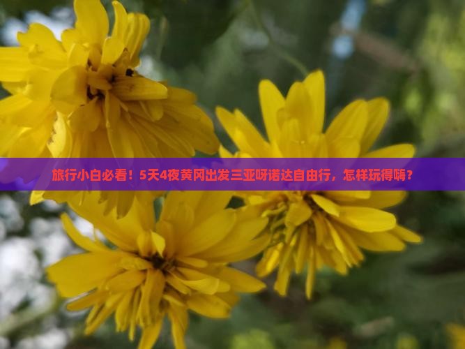 黄冈前往三亚呀诺达景区自由行
