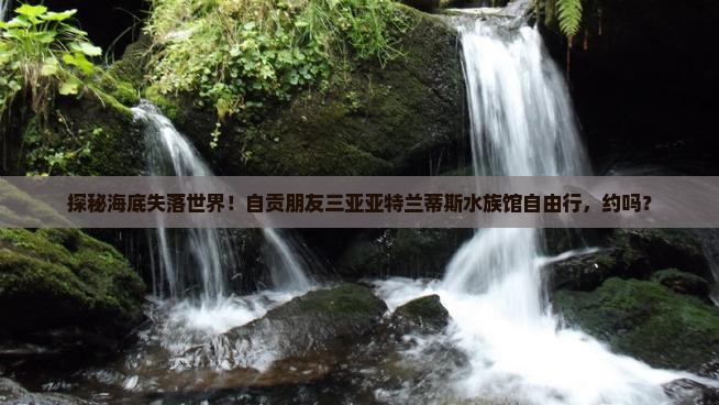 自贡去三亚亚特兰蒂斯水族馆自由团