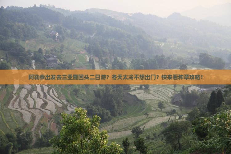 阿勒泰出发三亚鹿回头二日游