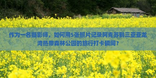 阿克苏去三亚亚龙湾热带森林公园旅游打卡点