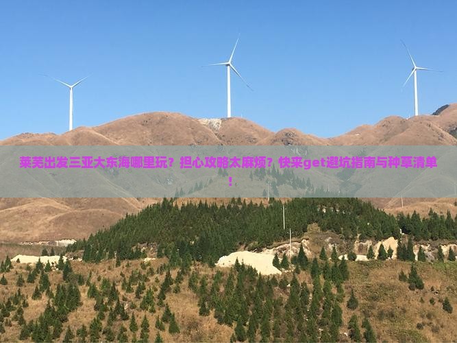 莱芜出发三亚大东海哪里玩